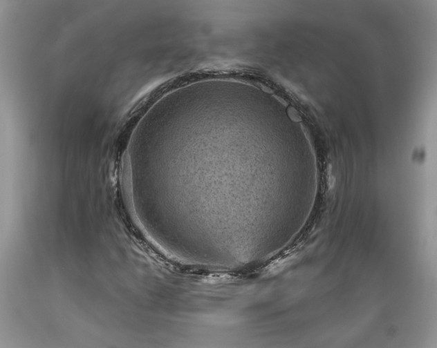 X0000089381206200706221246
