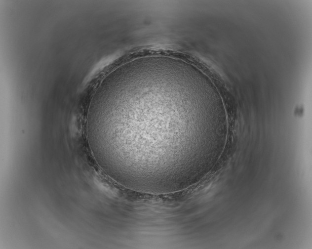 X0000089381207200706221246