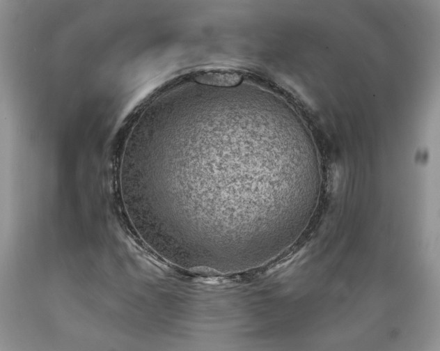 X0000089381208200706221246