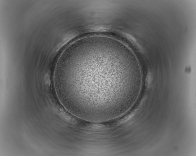 X0000089381209200706221246