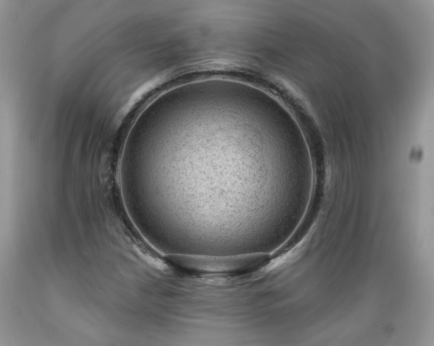 X0000089381210200706221246