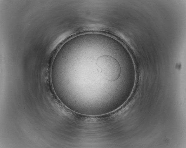 X0000089381211200706221246