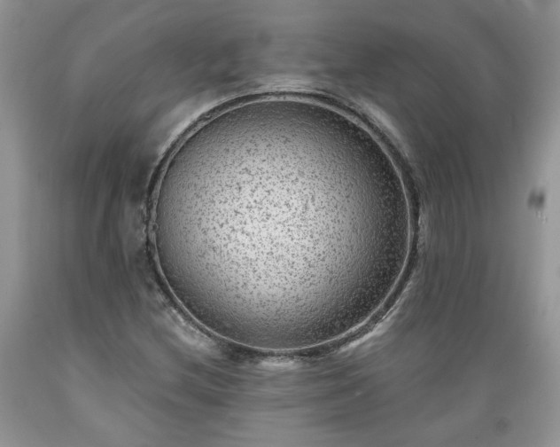 X0000089381212200706221246