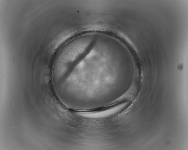 X0000089381213200706221246