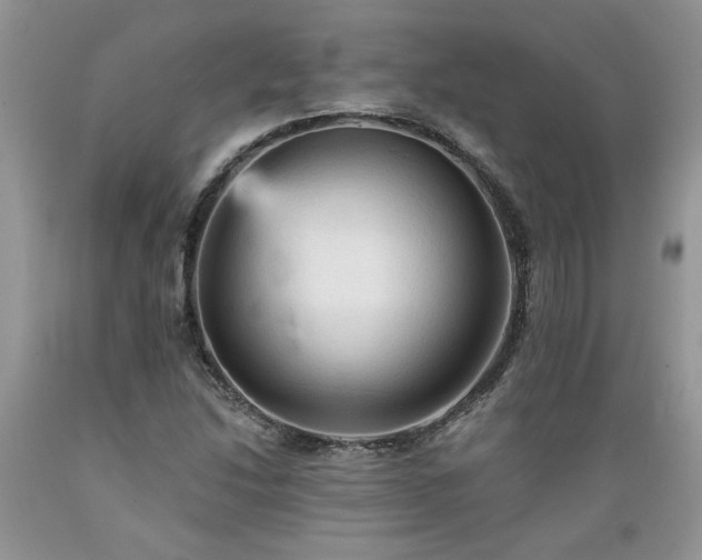 X0000089381214200706221246