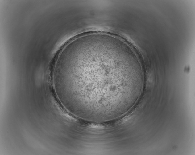 X0000089381215200706221246