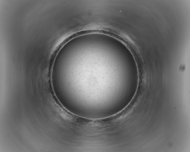 X0000089381216200706221246