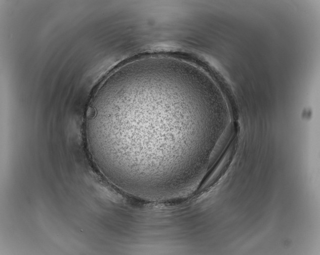 X0000089381217200706221246
