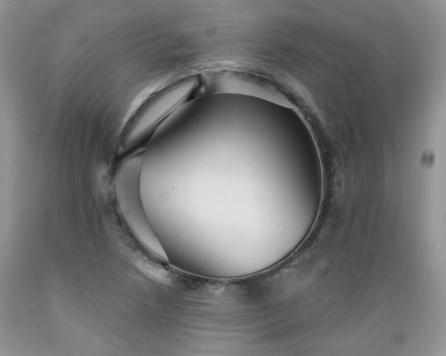X0000089381218200706221246
