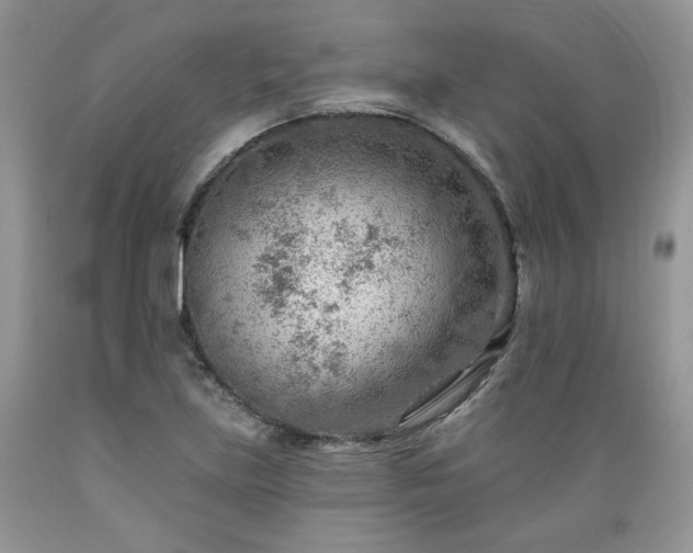 X0000089381219200706221246