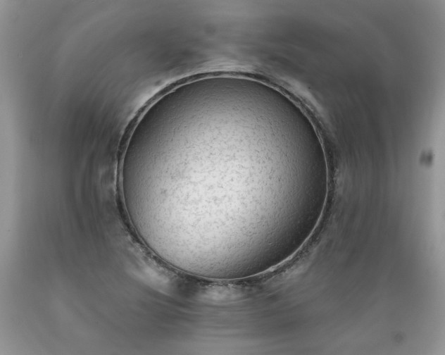 X0000089381220200706221246