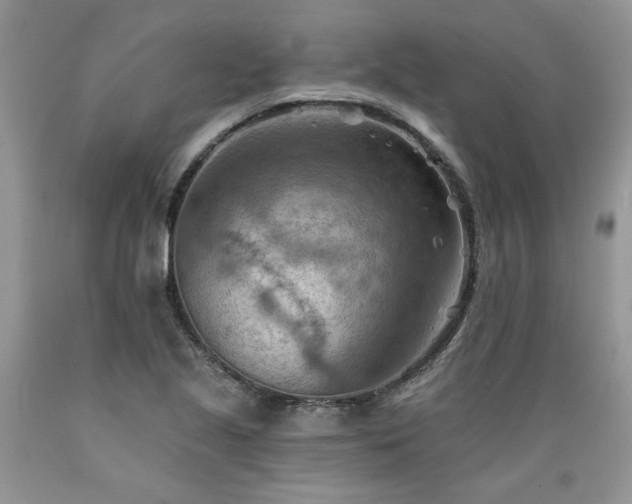 X0000089381221200706221246