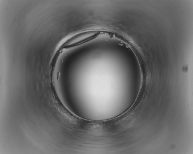 X0000089381222200706221246