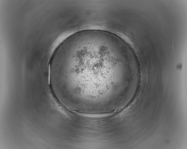 X0000089381223200706221246