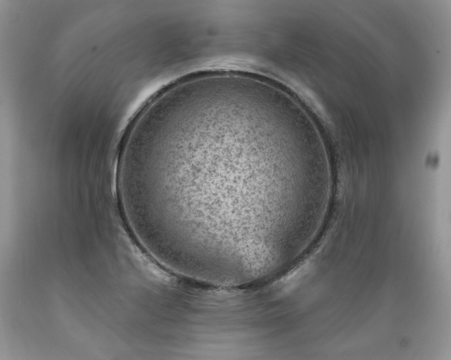 X0000089381224200706221246