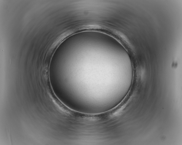 X0000089381225200706221246