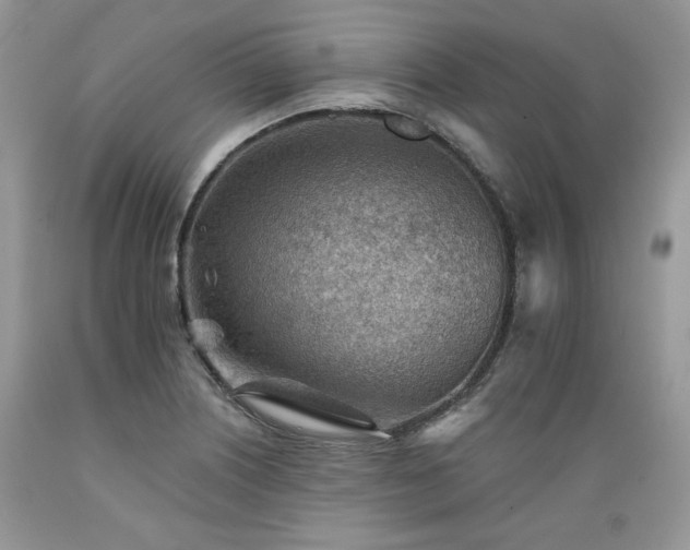 X0000089381226200706221246
