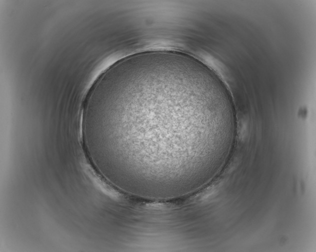 X0000089381227200706221246