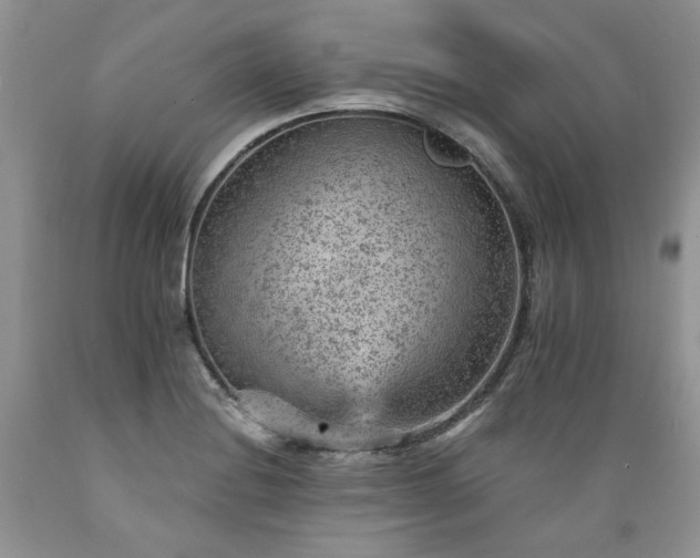 X0000089381228200706221246