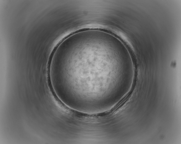 X0000089381229200706221246