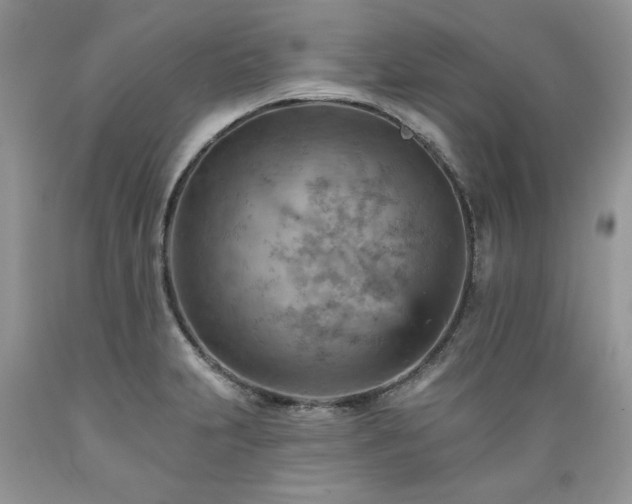 X0000089381231200706221246