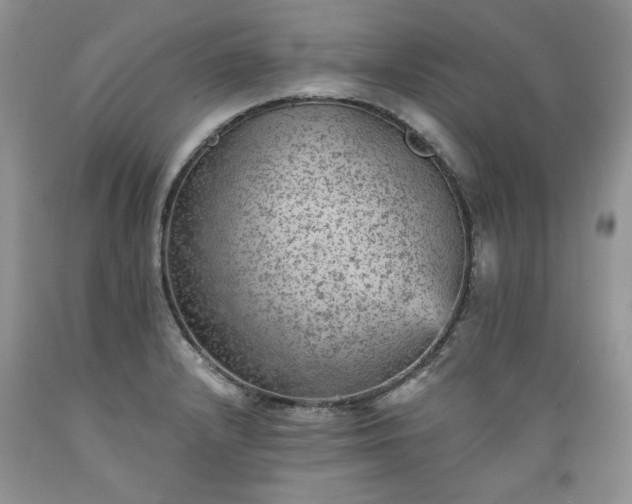 X0000089381232200706221246