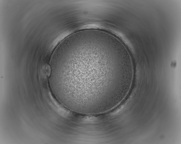 X0000089381233200706221246