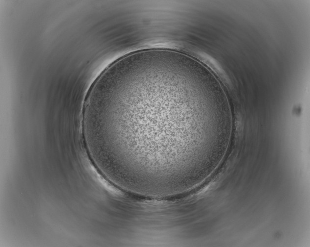X0000089381236200706221246