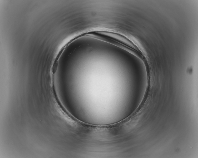 X0000089381238200706221247