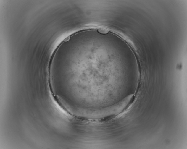 X0000089381239200706221247