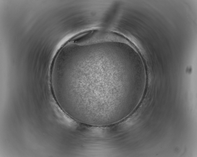 X0000089381240200706221247