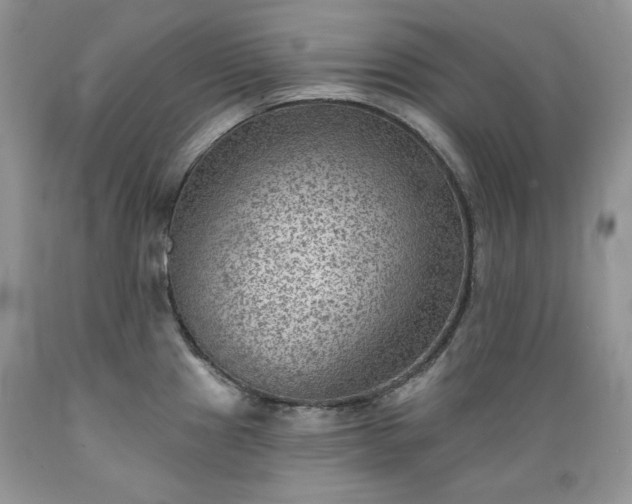X0000089381241200706221247