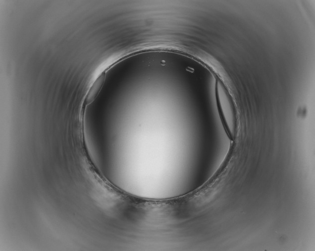 X0000089381242200706221247