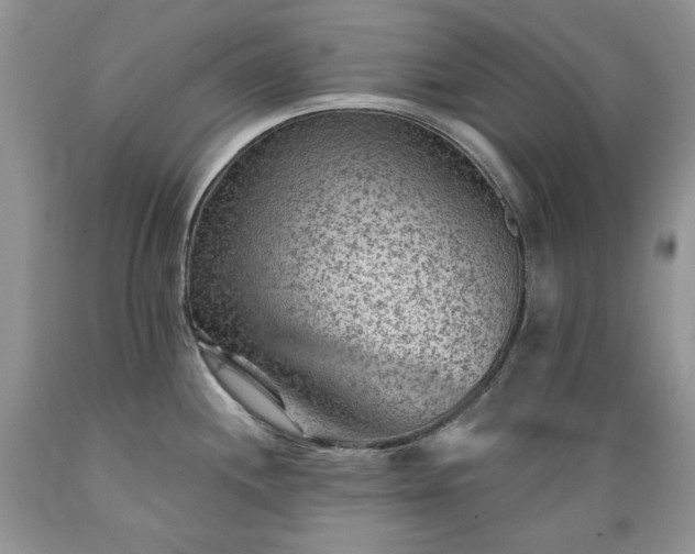 X0000089381244200706221247