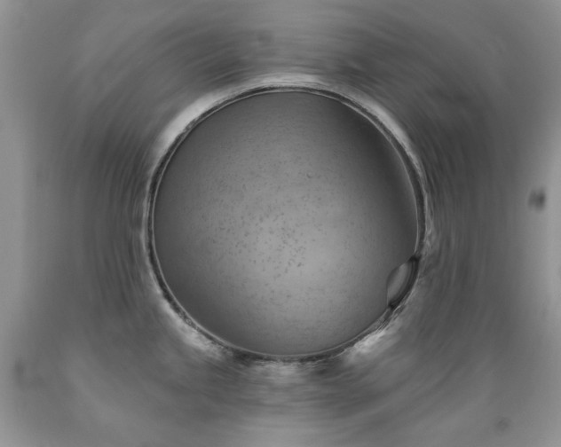 X0000089381245200706221247