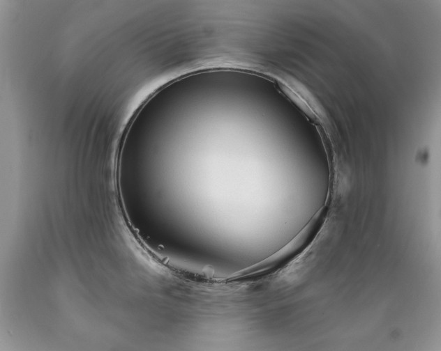 X0000089381246200706221247