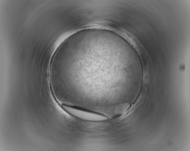 X0000089381247200706221247