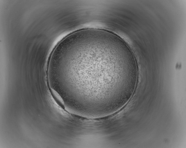 X0000089381248200706221247