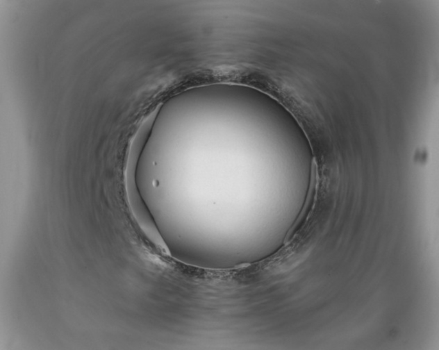 X0000089381249200706221246