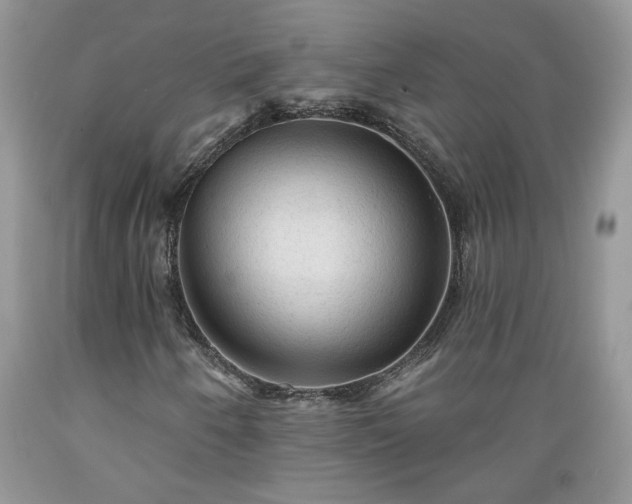 X0000089381250200706221246