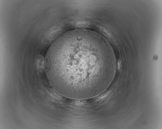 X0000089381251200706221246
