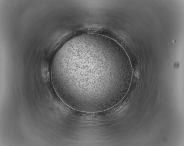 X0000089381252200706221246