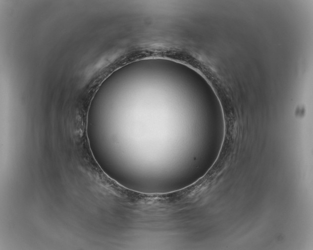 X0000089381253200706221246