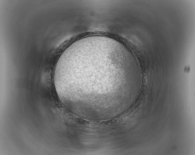 X0000089381254200706221246