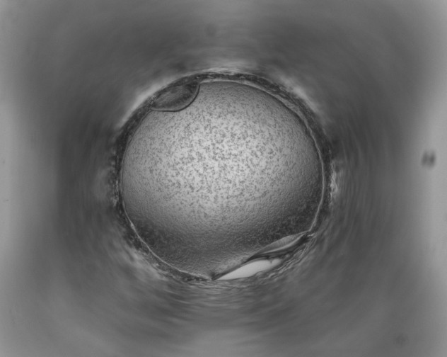 X0000089381256200706221246
