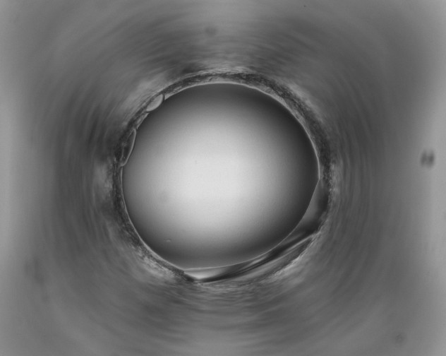 X0000089381257200706221246