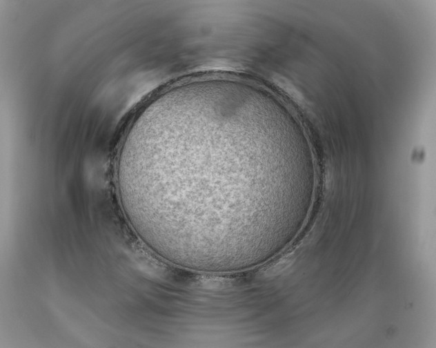 X0000089381258200706221246