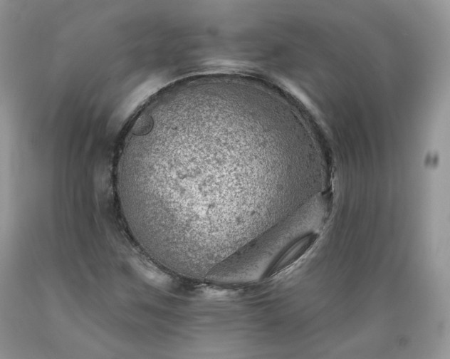 X0000089381259200706221246