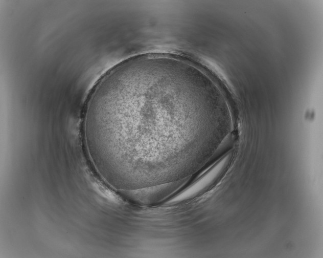 X0000089381260200706221246