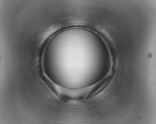 X0000089381261200706221246